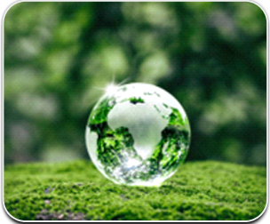 Environment Policy